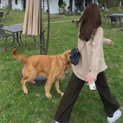 戛纳机密第一季